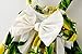 YOMIYOKA Baby Girls 6 Months - 3 Years Princess Dress