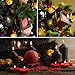 Bath Bomb Gift Idea - Large Bathbomb Stocking Stuffer Best Presents for Her Him Women Men Kids Mom Dad Couple Wife Bubble Bathbombs with Essential Oils (Single)