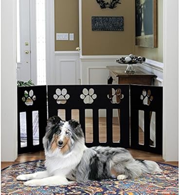 kitty a go go cat grooming