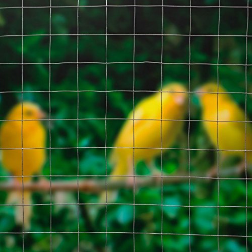 Nature Maschendraht Viereckgeflecht Gartenzaun Gitterzaun Wildzaun Forstzaun – Bild 3