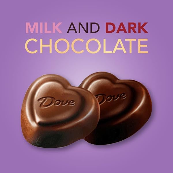 DOVE PROMISES MIXED HEART MILK CHOCOLATE & DARK CHOCOLATE, VALENTINE’S DAY CANDY HEARTS, 24.2 OZ BAG