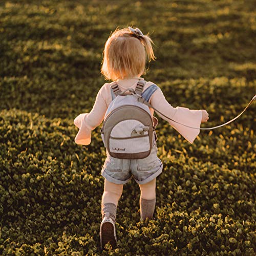 Lulyboo Toddler Safety Harness and Backpack