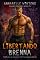 Livro Libertando Brenna (Thrillers de romance militar Darkwater Livro 2)