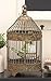 Deco 79 Metal Floral Birdcage Antique Twisted Rod with Latch Closure and Hanging Hook, Set of 2 24