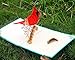 CUTPOPUP Mothers Day Card Pop Up, Birthday Card Popup, 3D Greeting Card (Red Cardinal)