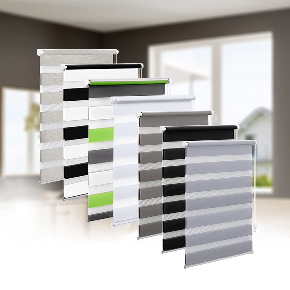 Eurohome Klemmfix Double Roller Blind, No Drilling Required, Duo Roller Blind, 65 cm x 220 cm (Fabric Width 61 cm), Transparent and Opaque Privacy Screen, Roller Blind Clamping Supports , Lightgrey