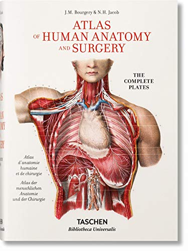 Jean Marc Bourgery. Atlas of Human Anatomy and Surgery (Bibliotheca Universalis) --multilingual by Jean-Marie Le Minor, Henri Sick