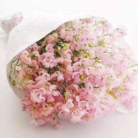Amazon 日比谷花壇 母の日 花紀行瀬戸内 さくらひめ デルフィニウム10本 19年 母の日カード付き 花束 オンライン通販