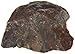 American Educational Brown Black Coarse Grained Gabbro Igneous Rock, 1Kg