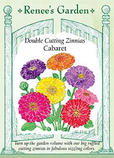 Double Cutting Zinnias ‘Cabaret’ Double Cutting Zinnias ‘Cabaret’