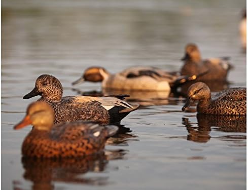 GHG Pro-Grade Pre-Texas Rigged Gadwall Duck Decoy Pack of 6