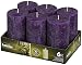 BOLSIUS 6 Pack. Rustic Purple Pillar Wedding Party Candles 130 X 68mm (Aprox. 5 X 2.75 Inches) primary