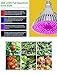 MZVUL LED Grow Light Bulb Timing 100W Full Spectrum Plant Light Bulb Dimmable with 3 Modes Auto On/Off Grow Lights for Indoor Plants Garden Flowers Vegetables Greenhouse Hydroponic Growing (E26/E27)