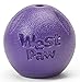 West Paw Rando Squeezy Dog Play Chew Ball Toy with Zogoflex Echo, Made in USA, Small, Eggplant