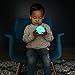 Seedling Design Your Own Night Light - Glowing Light Globe