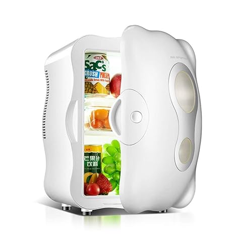 Amazon Com Mini Refrigerator 10l Hot And Cold Dual Use