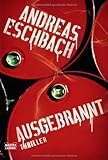Ausgebrannt. Roman