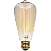 Westinghouse 0413200 60 Watt ST20 Amber Timeless Vintage Inspired Bulb with Medium Base