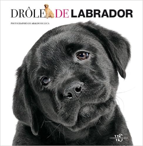 Livre Anglais Gratuit à Télécharger Drôle De Labrador Chm