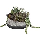 Uttermost Yuma Succulent - Planter-13 Inches Tall and 15 Inches Wide