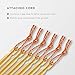 Terra Hiker Ultra-lightweight Tent Stakes, Stake Kit with Pulling Cords & Carrying Pouch, 18 cm Long Aluminum Alloy Tent Pegs for Camping Tent