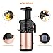 Juicer Amzdeal Slow Juicer Masticating Juicer Machine Cold Press Juicer For High Nutritional Fruits and Vegetables Juice, Easy to Clean, Quiet Motor & Reverse Function, BPA Free, 200w