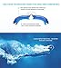 EverSport Swim Goggles, Pack of 2, Swimming Glasses for Adult Men Women Youth Kids Child, Anti-Fog, UV Protection, Shatter-Proof, Watertight(LightBlue&Mirrored Black)