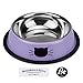 Ureverbasic Cat Bowls Pet Bowl Stainless Steel Cat Food Water Bowl with Rubber Base Small Pet Bowl Cat Feeding Bowls Set of 2