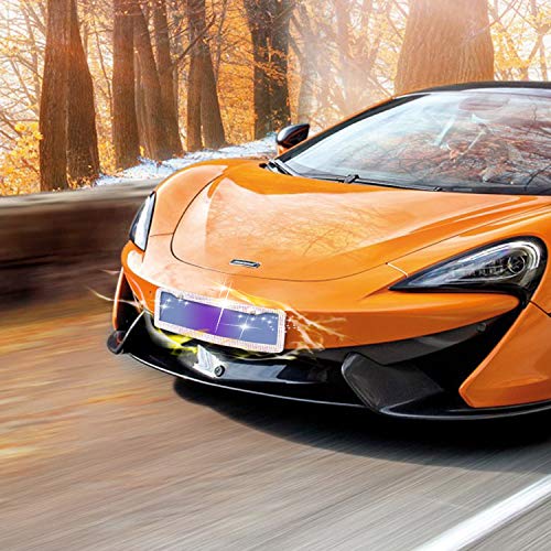 6 License+Stainless+Handmade+Rhinestones+Matching