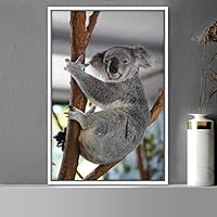 Framed Canvas Wall Art Koala Animals Expressive Koala Living Room Multicolor Photography Tropical - 16x24 inches