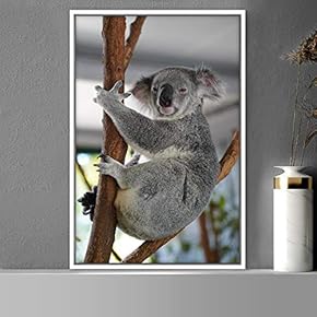 signwin Framed Canvas Wall Art Koala Animals Expressive...