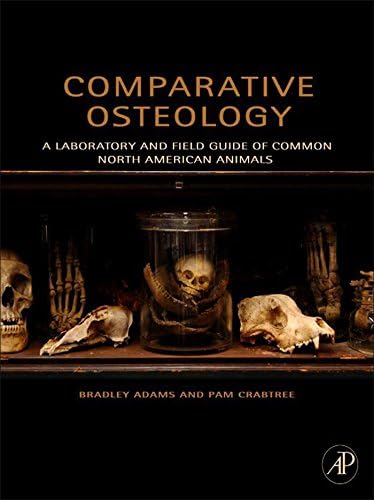 Amazon.com: Human Osteology eBook : White, Tim D., Black, Michael