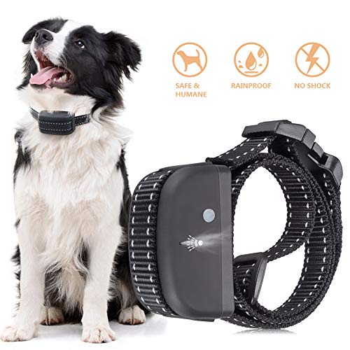 PetSafe Instant Fence Transmitter IF100 Your Pets Pro For Dog Goodies