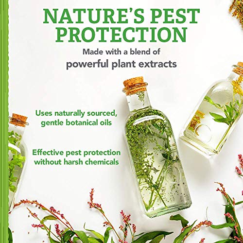 Natural Care Flea and Tick Carpet Powder Flea Treatment for Rugs