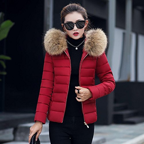 Tsmile Lady Short Coat Victorcn Fashion Solid Women Casual Thicker Winter Warm Slim Down Jacket Overcoat (2X-Large, Wine)