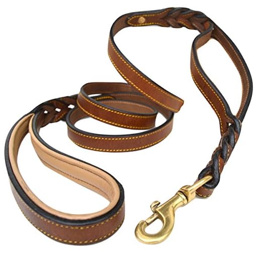 braided leather dog lead