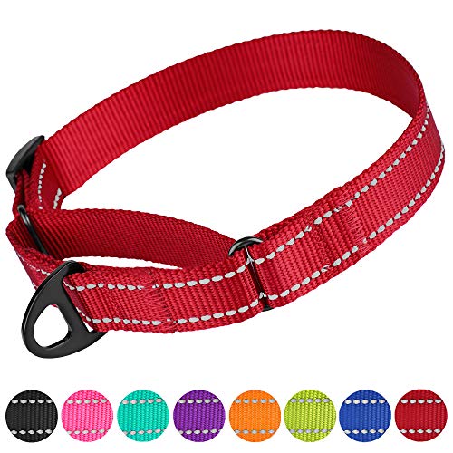 CollarDirect Reflective Martingale Dog Collar Nylon Training Collars for Small Medium Large Dogs Puppy Pink Orange Green (L, Neck Size 16″-24″, Red)
