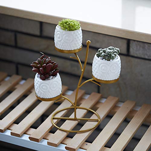 FLOWERPLUS Small Owl Succulent Planter Pots, 3 Pack 2.75 Inch White Ceramic Decorative Cactus Flower Plant Pot with Tree Tier Metal Stand for Indoor Outdoor Home Office Garden Kitchen Décor (3PP024)