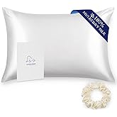 Alaska Bear Silk Pillowcase for Hair and Skin, 100% Mulberry Silk Pillow Cases Queen Size for Beauty Sleep with Random Scrunchy Gift Set Better Than Poly Satin Cover, 1pc, Cool White