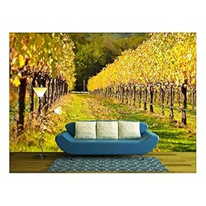 Beautiful Vineyard in Fall - Removable Wall Mural | Self-Adhesive Large Wallpaper - 66x96 inches