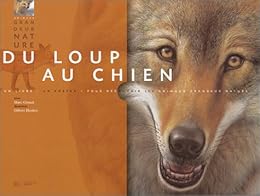 Du loup au chien