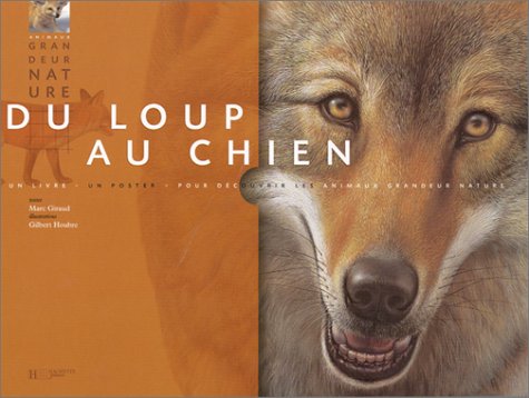 Du loup au chien