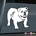 English Bulldog Sticker Vinyl Auto Window Sticker