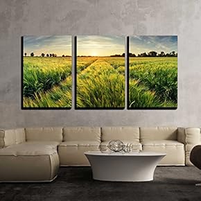 3 Piece Canvas Wall Art - Rural Landscape with Wheat Field on Sunset - Modern Home Art Stretched and Framed Ready to Hang - 16"x24"x3 Panels