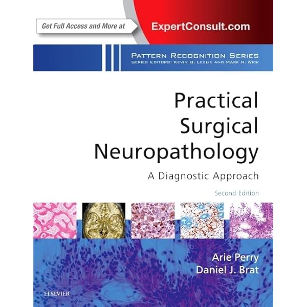 Escourolle and Poirier's Manual of Basic Neuropathology