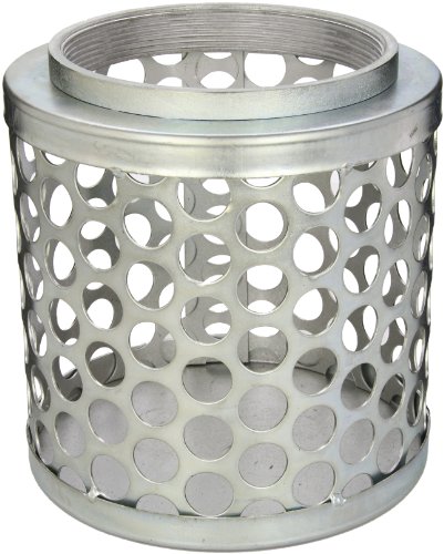 PT Coupling Carbon Steel Round Hole Pump Suction Strainer, 6"