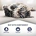 Natural Balance L.I.D. Limited Ingredient Diets Wet Cat Food, Venison & Green Pea Formula, 5.5 Ounce Can (Pack of 24), Grain Free
