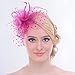 Fascinators Sinamay Hats for Women for Tea Party Kentucky Derby Wedding Cocktail Mesh Feathers Hair Clip Fuschia