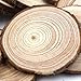 Natural Wood Slices 10 Pcs 4