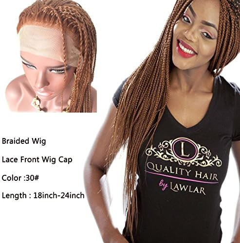 IberteHair Synthetic Micro Braided Lace Front Wig Fully Hand Tied Twist Braided Hair Wigs for Black Women (Color Brown 20 inch)